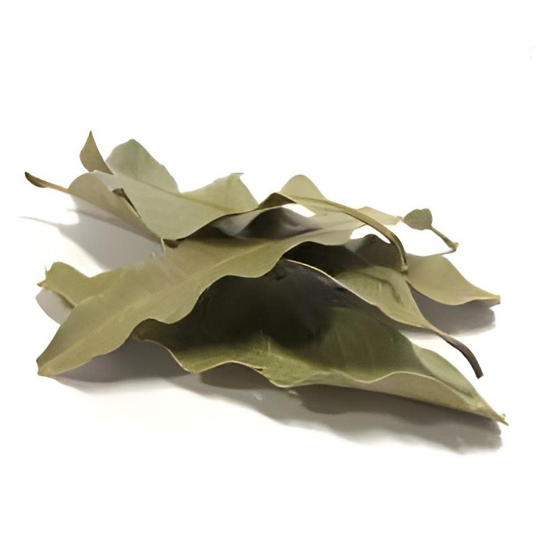 برگ انبه درجه۱ (۱۰۰گرم)