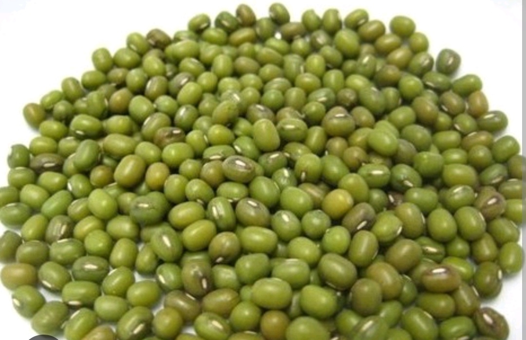 ماش 500 گرمی