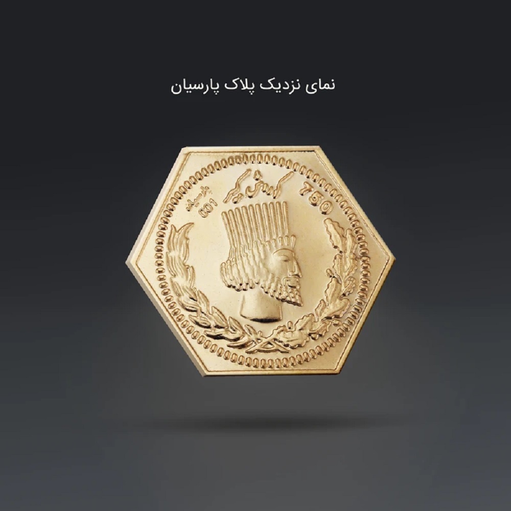 سکه طلای 18 عیار پارسیان امین زر بسته 2 عددی 1.800 گرم (2 عدد سکه 0.900 گرم)