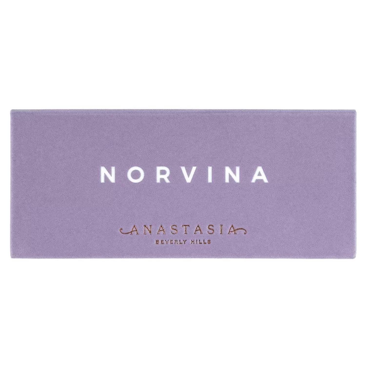 پالت سایه نوروینا آناستازیا 14 رنگ ANASTASIA NORVINA EYESHADOW PALETTE